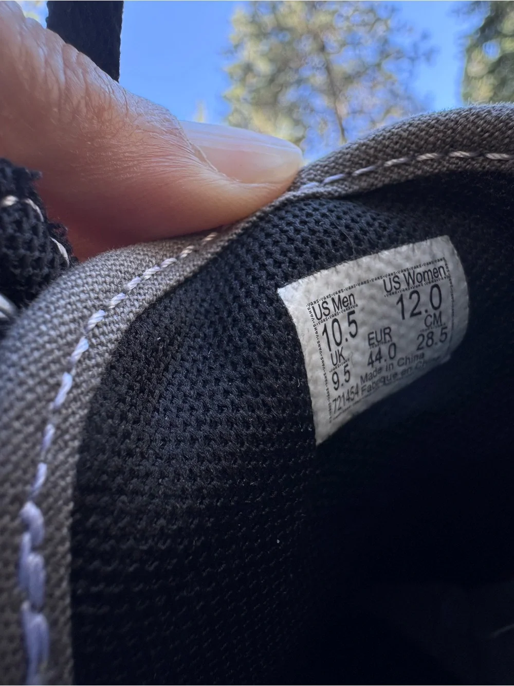 Vans Black and Gray Low-Top Skate Sneakers